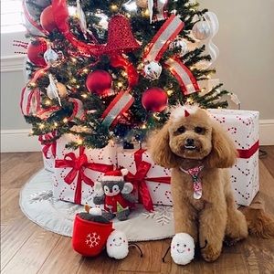 🎅🏼 HAPPY HOLIDAYS 🎄